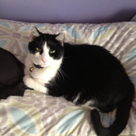 Meet your Posher, Stepfanie - Picture 2 of 4